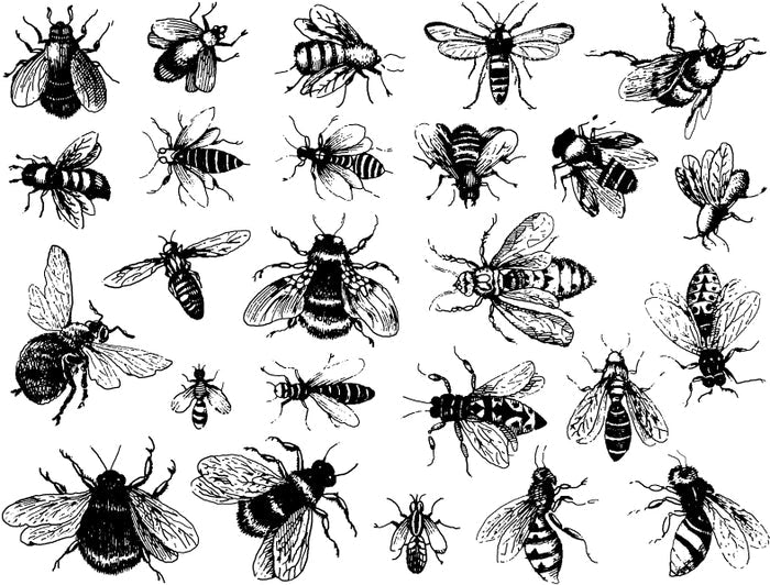 Bees Decal