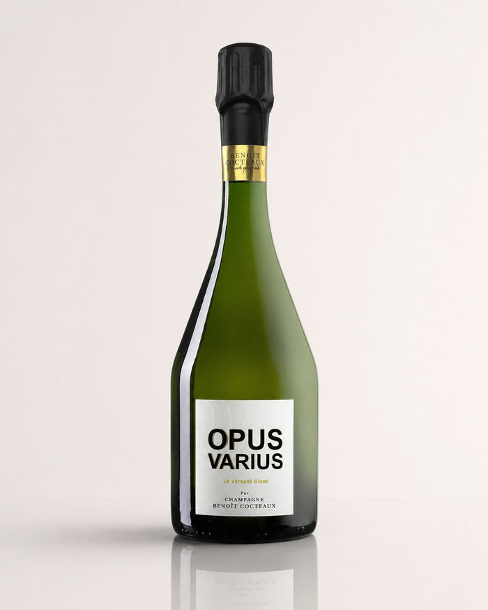 Benoit Cocteaux OPUS VARIUS - "Le Versant Blanc"