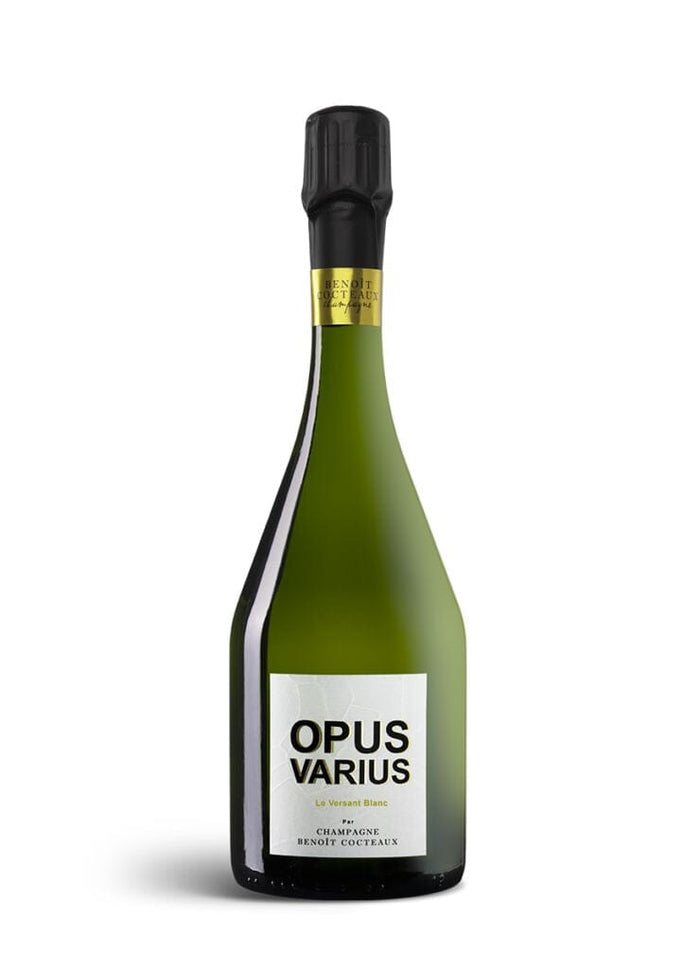 Benoit Cocteaux OPUS VARIUS - "Le Versant Blanc"