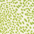 CR-41 Lime Pint