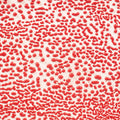 CR-58 Red Pint