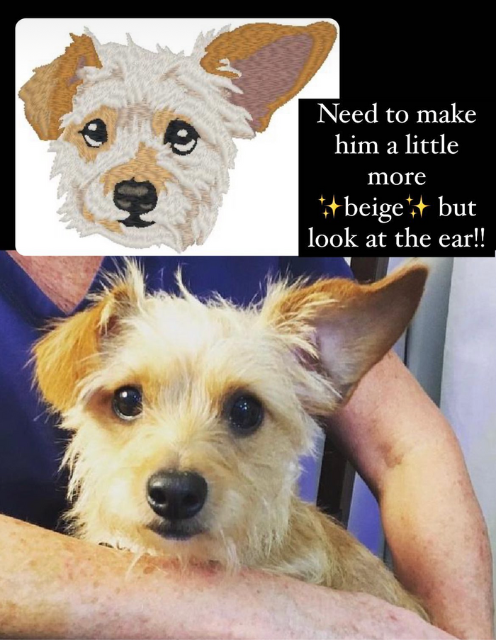 Custom Embroidered Pet Sweatshirt