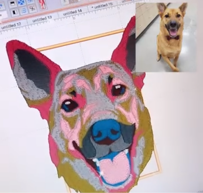 Custom Embroidered Pet Sweatshirt
