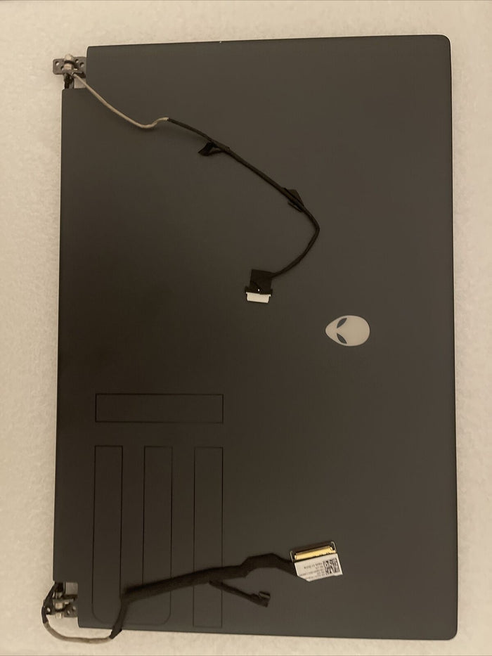 Defective Asis Parts Dell Alienware M15 R5/R6 15.6" QHD LCD  240hz G64XH H1L5 S7