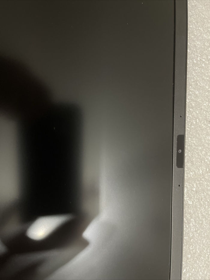 Defective Dell Alienware m17 R5 AMD 165Hz FHD LCD Screen 35CVT DY3T6 KT P8 S7