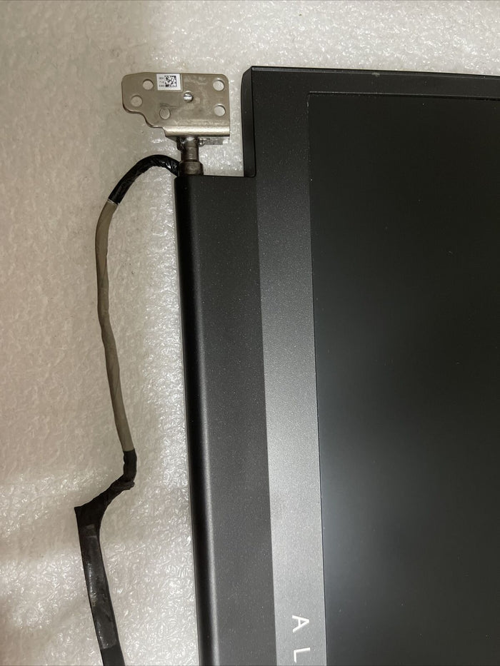 Defective Dell Alienware m17 R5 AMD 165Hz FHD LCD Screen 35CVT DY3T6 KT P8 S7