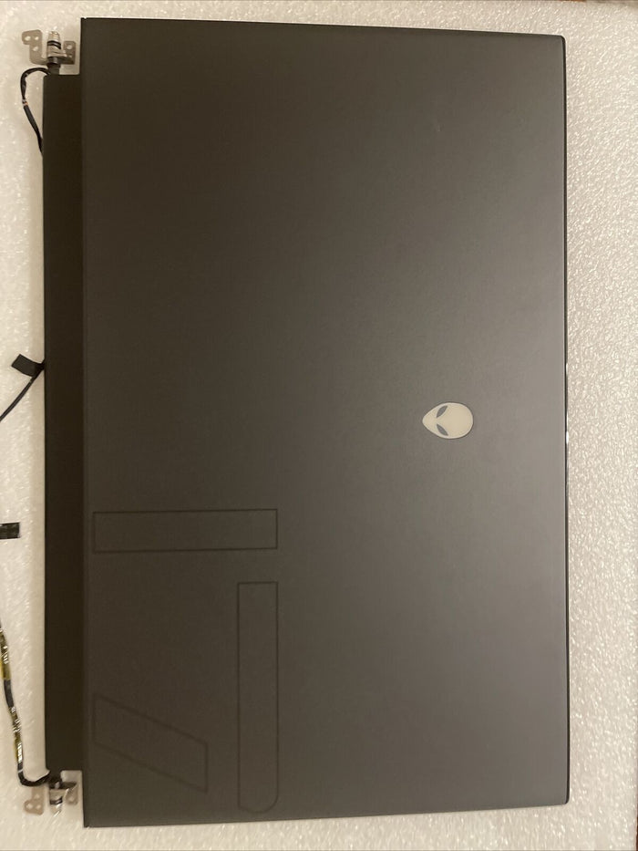 DELL ALIENWARE M17 R3 R4 17.3" FULL HD 300HZ LAPTOP LCD 4VP88 J90HW H1 L5 GradeA