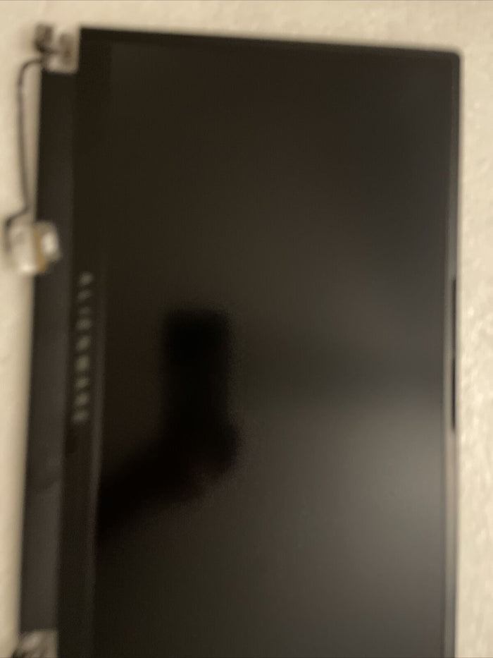 Dell Alienware X15 R1 240HZ 2K 15.6" WQHD LCD SCREEN CGDY2 0VJYJ1 VJYJ1 H1 L4