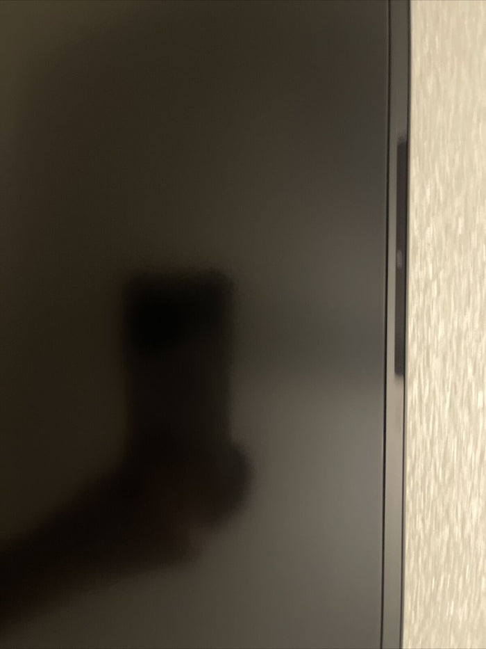 Dell Alienware X15 R1 240HZ 2K 15.6" WQHD LCD SCREEN CGDY2 0VJYJ1 VJYJ1 H1 L4