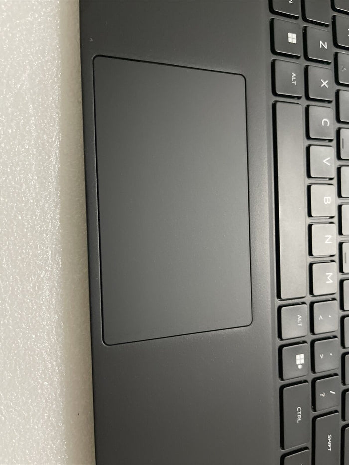 Dell Alienware x17 R2 Laptop Palmrest Touchpad US English Keyboard 346YC N6P1