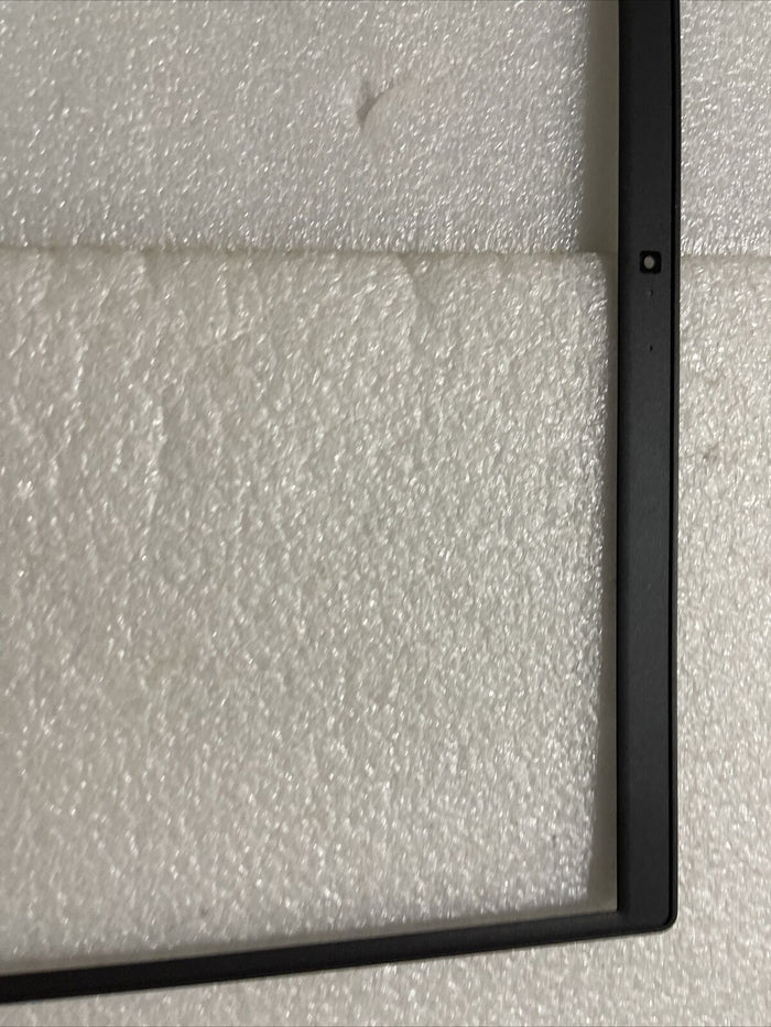 Dell Latitude 3510 P101F LCD Bezel GCK6R 0GCK6R H2N3 Missing Hinge Cover