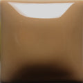 FN-22 Tan Pint