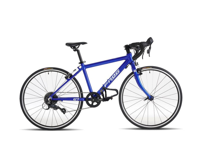 frog 67 blue