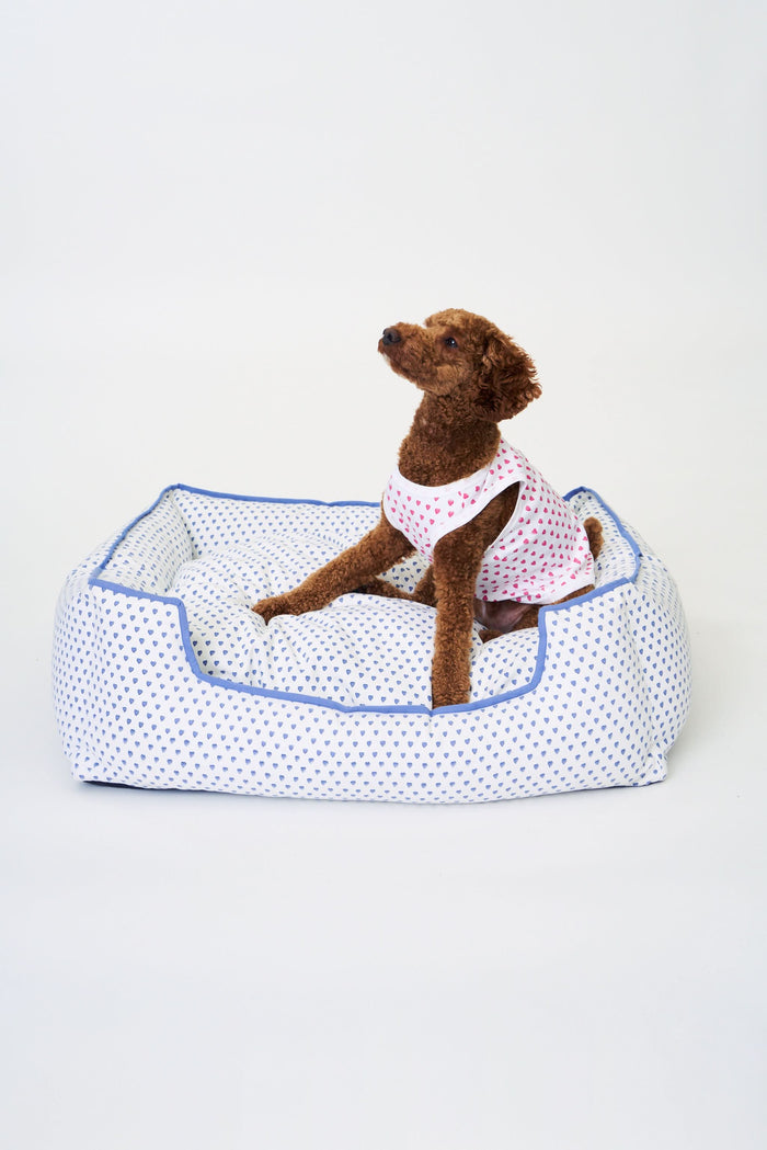 The Roller Rabbit Hearts Dog Bed features a plush rectangular design with blue trim, a lowered front edge, and an all-over blue heart pattern. This machine washable dog bed combines comfort and style for your pet.
