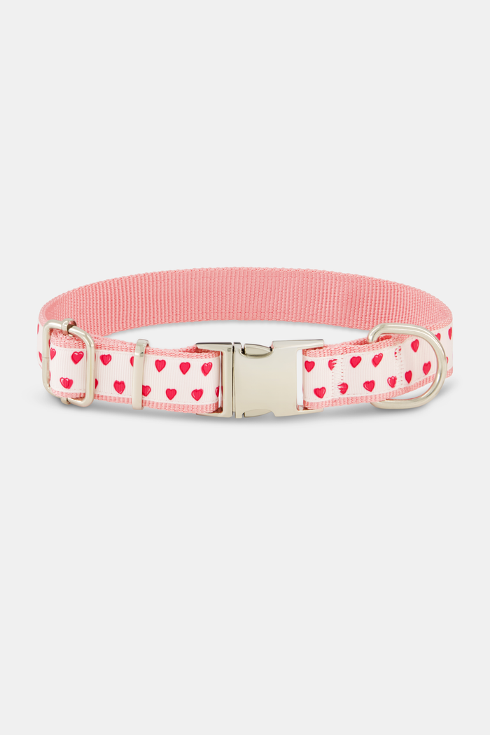 The Roller Rabbit Hearts Dog Collar features a white band with small red and pink hearts, a metal D-ring, and a plastic buckle. Shown on a white background. Pairs perfectly with the matching leash.