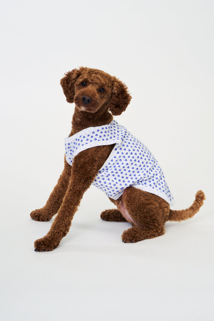 A brown curly-haired dog sits on a white background, wearing Roller Rabbit Hearts Dog Pajamas. The dog looks slightly to the side with a relaxed expression.
