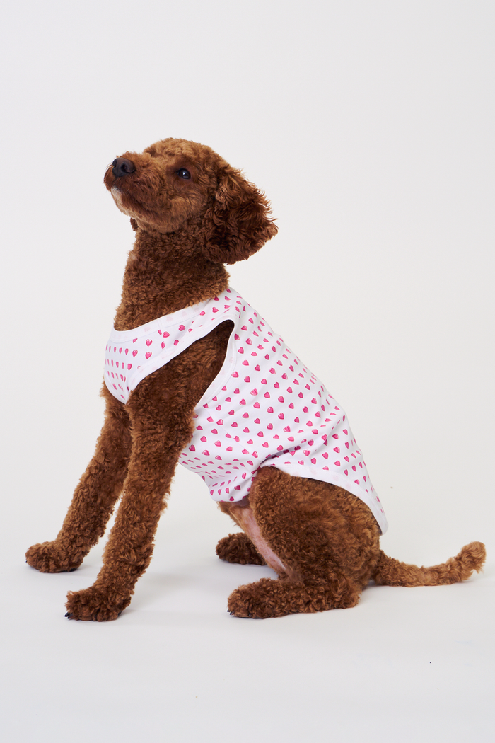 A brown poodle sits on a white background wearing Roller Rabbit's Hearts Dog Pajamas, adorable Pima Cotton pet PJs featuring small pink heart patterns for perfect matching dog pajamas.