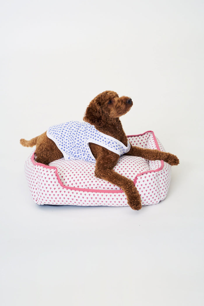 A brown curly-haired dog sits on a white background, wearing Roller Rabbit Hearts Dog Pajamas. The dog looks slightly to the side with a relaxed expression.