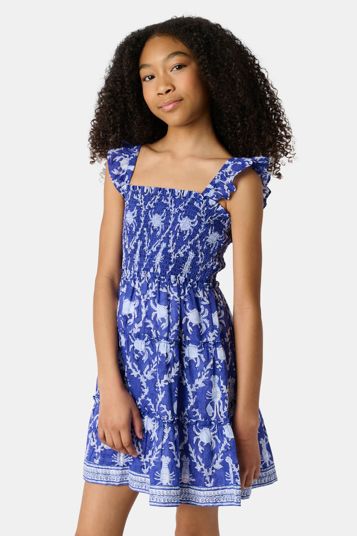 A young girl with straight brown hair smiles while wearing the Roller Rabbit Kids Lobster Trellis Ceri Dress, featuring a blue and white pattern with ruffled sleeves, against a plain white background.