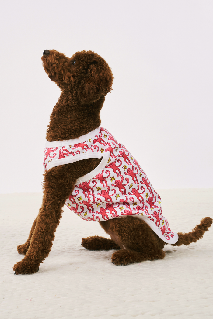 A brown poodle sits on a light surface, wearing white Roller Rabbit Monkey Dog Pajamas with a red whimsical lizard pattern, looking up and slightly to the left against a plain background.