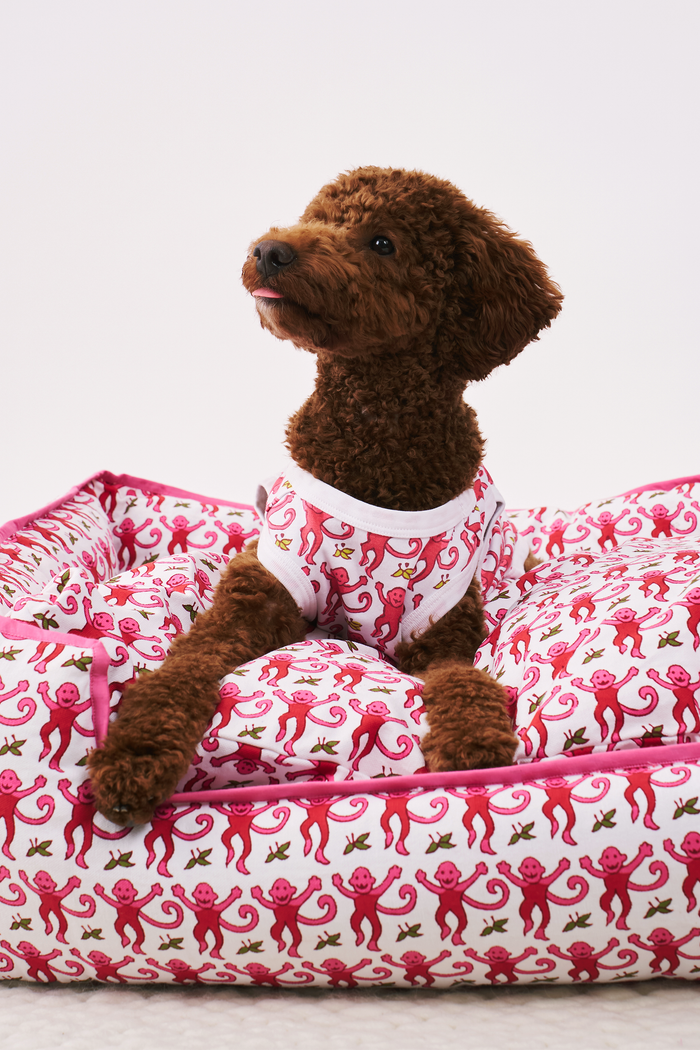 A brown poodle sits on a light surface, wearing white Roller Rabbit Monkey Dog Pajamas with a red whimsical lizard pattern, looking up and slightly to the left against a plain background.