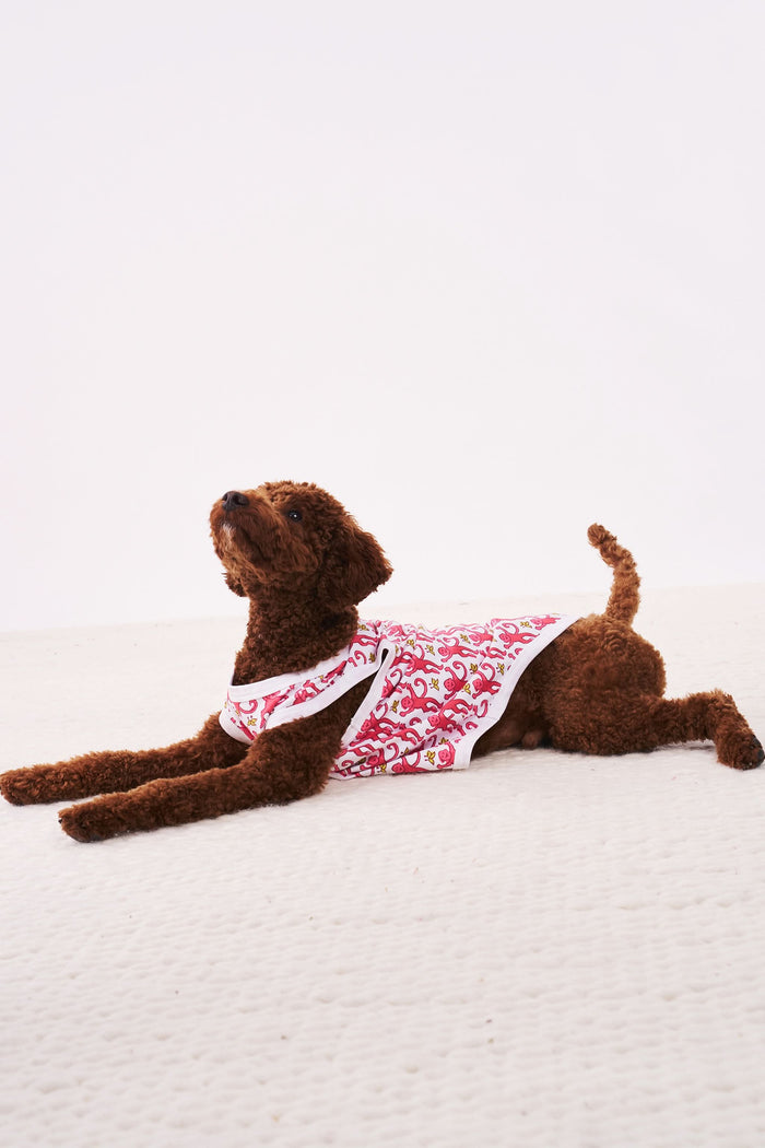 A brown poodle sits on a light surface, wearing white Roller Rabbit Monkey Dog Pajamas with a red whimsical lizard pattern, looking up and slightly to the left against a plain background.