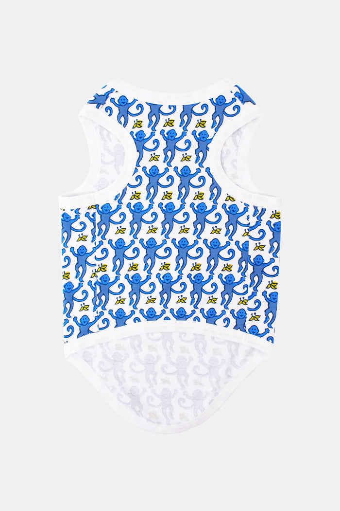 A brown curly-haired dog sits on a light surface, looking up with perked ears against a white background, wearing stylish blue and white Monkey Dog Pajamas by Roller Rabbit made from soft Pima cotton.