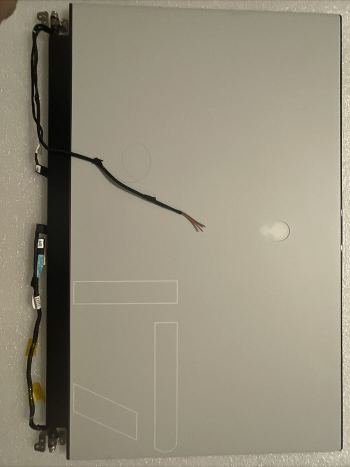 Oem DELL ALIENWARE M17 R3 R4 17.3" FULL HD 300HZ LAPTOP LCD SCREEN  4VP88 UH2 L5
