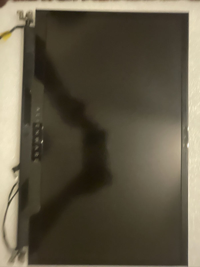 Oem DELL ALIENWARE M17 R3 R4 17.3" FULL HD 300HZ LAPTOP LCD SCREEN  4VP88 UH2 L5