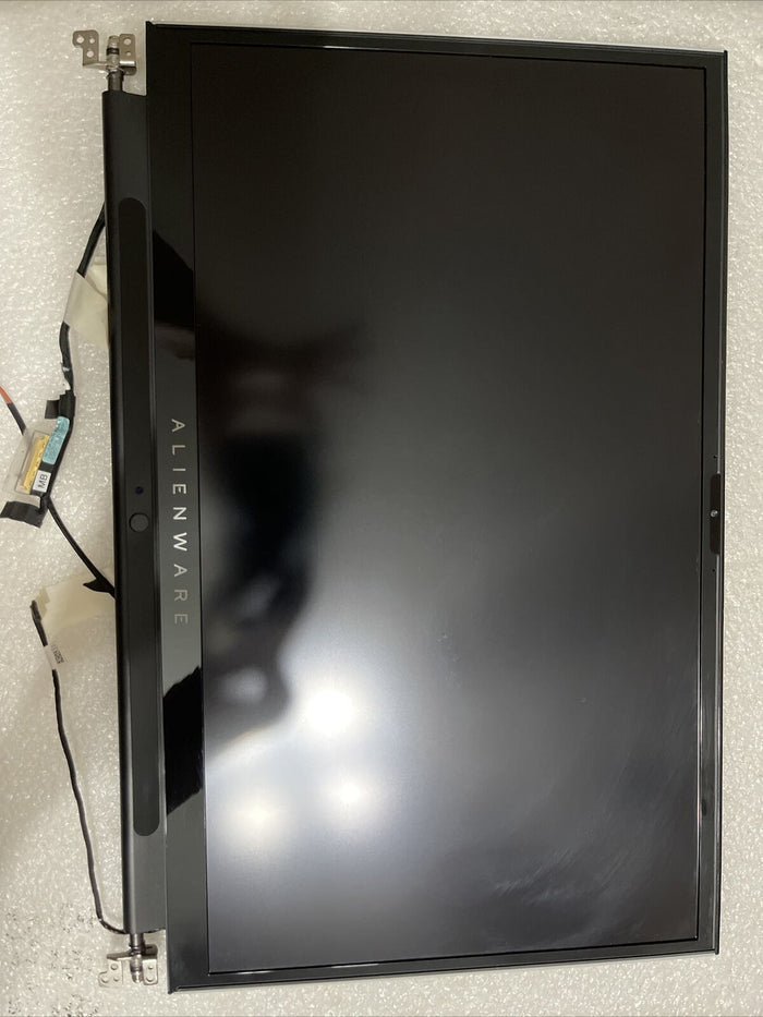 Oem DELL ALIENWARE M17 R3 R4 17.3" FULL HD 300HZ LAPTOP LCD SCREEN  8JRHK SPL5