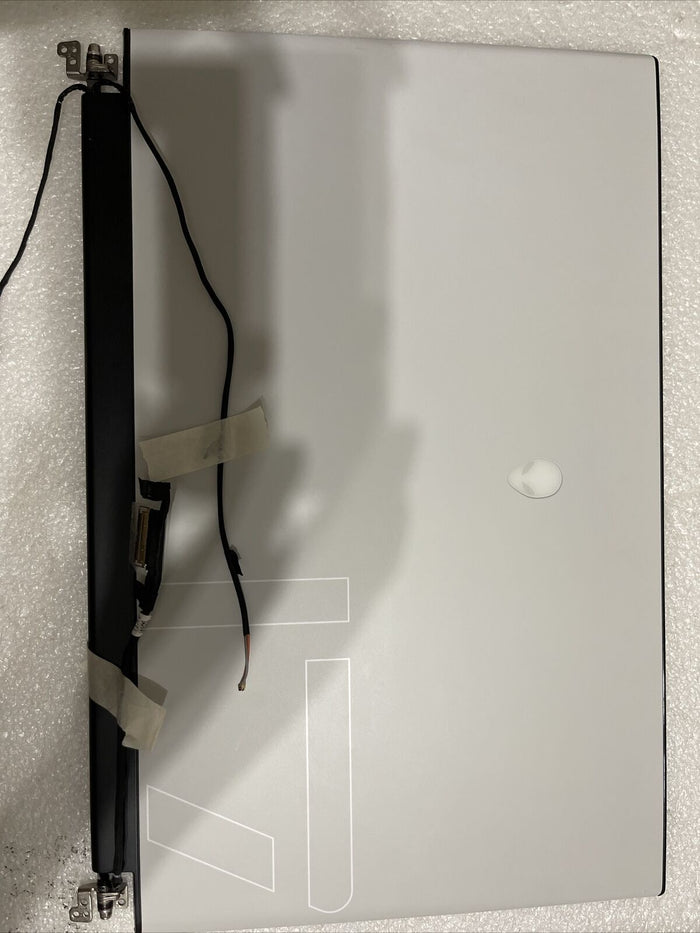 Oem DELL ALIENWARE M17 R3 R4 17.3" FULL HD 300HZ LAPTOP LCD SCREEN  8JRHK SPL5