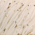 PCF-74 River Birch Pint