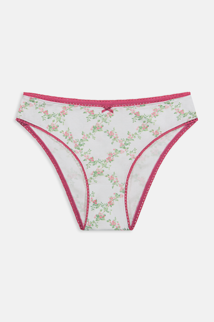 A person wearing the Roller Rabbit Raspberry Garden Gwen Bikini, a matching white camisole and vintage-inspired underwear set with a pink floral pattern and pink trim, shown from mid-torso to upper thighs.
