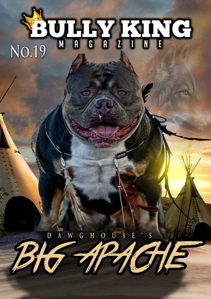 Single Issues-BULLY KING Magazine