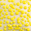 SW441 Yellow Bead Pint