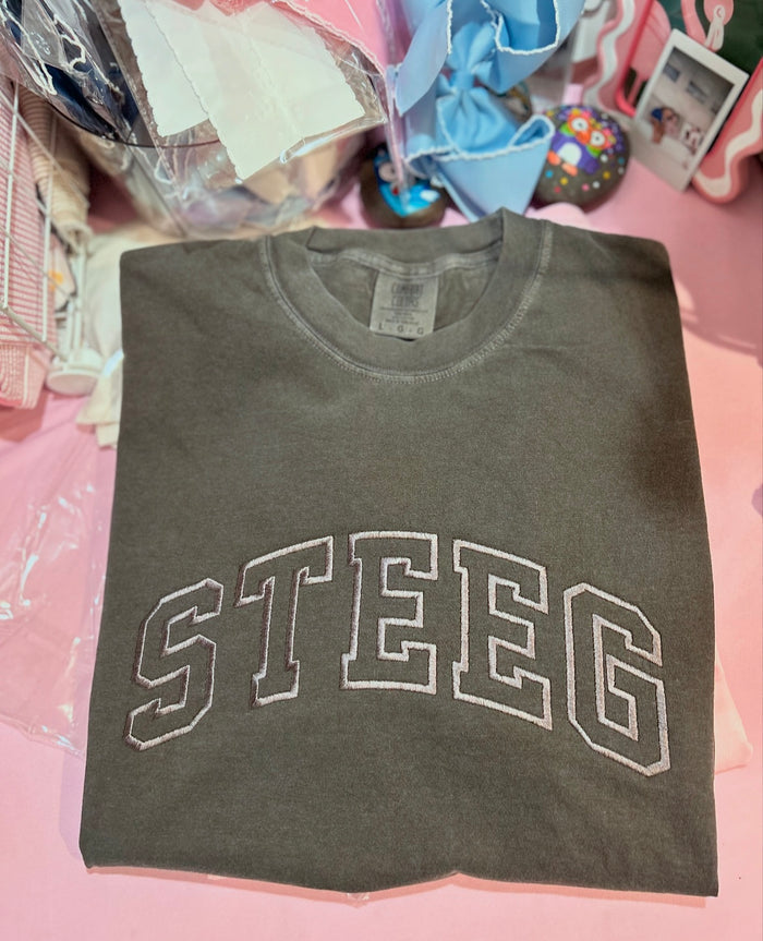 Varsity Hollow Letter Embroidered  T-Shirt