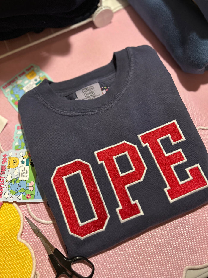 Varsity Letter Embroidered T-Shirt